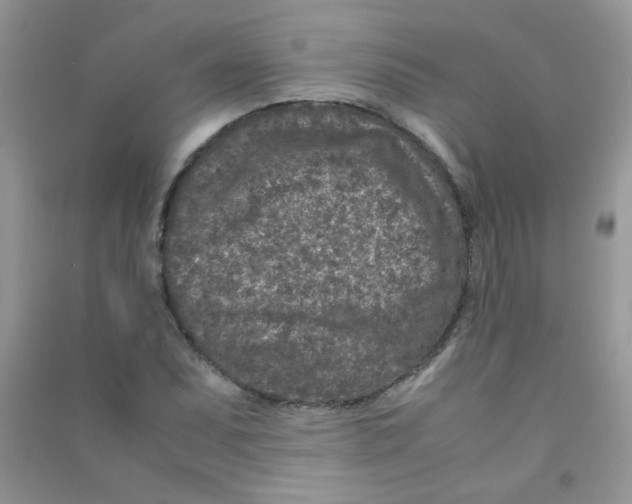 X0000090621071200708141408