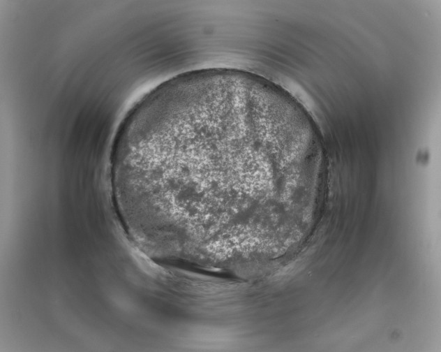 X0000090621072200708141408