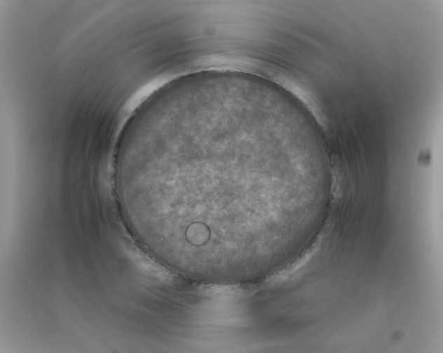 X0000090621074200708141408