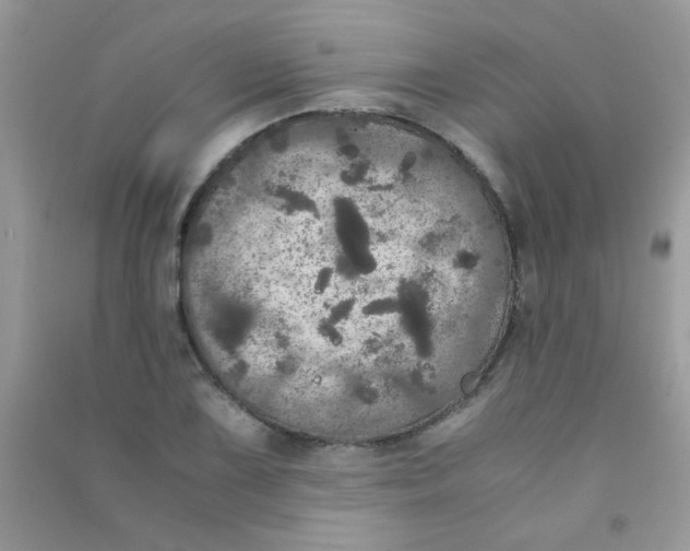 X0000090621075200708141408