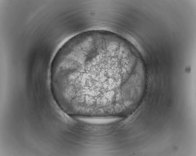 X0000090621076200708141408