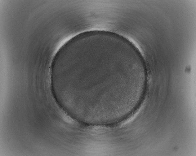 X0000090621077200708141408