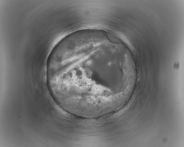 X0000090621079200708141408