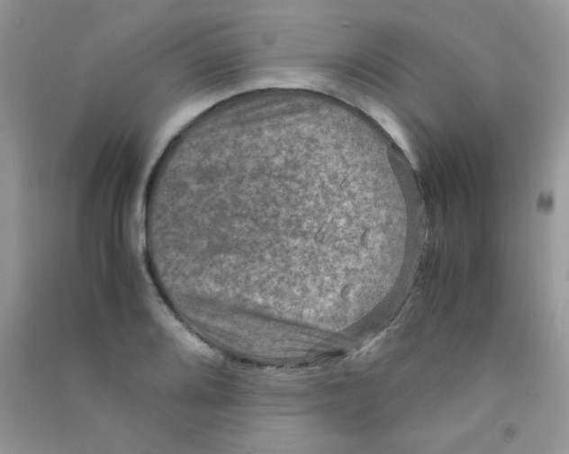 X0000090621080200708141408