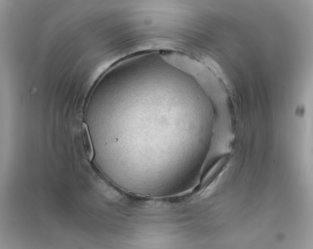 X0000090621081200708141408