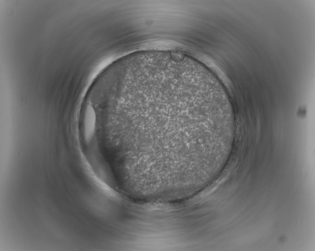 X0000090621083200708141408