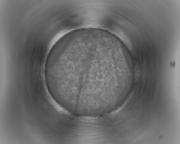 X0000090621086200708141408