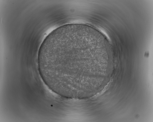 X0000090621087200708141408