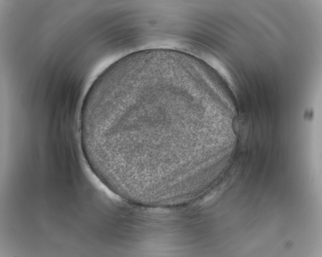 X0000090621088200708141408