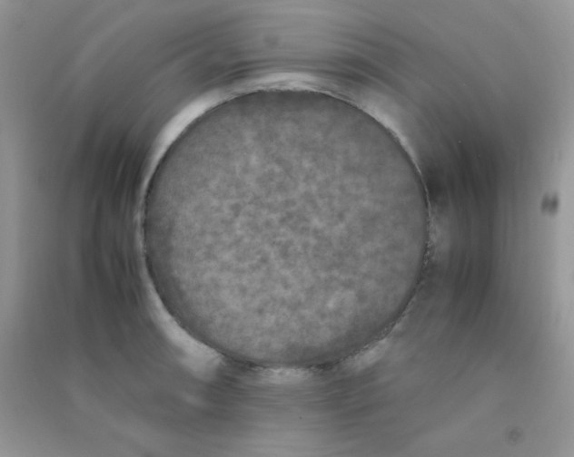 X0000090621090200708141408