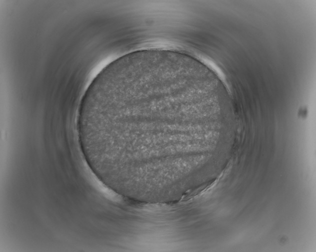 X0000090621091200708141408