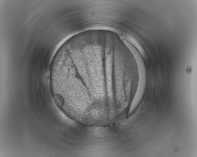 X0000090621092200708141408