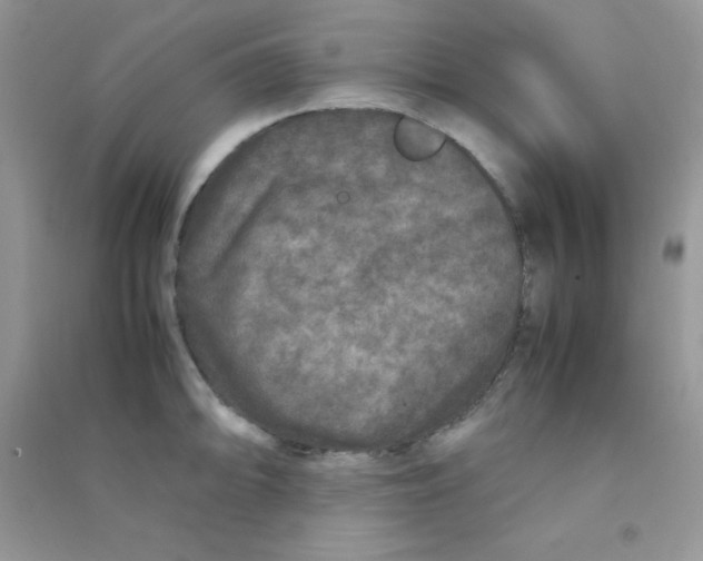 X0000090621094200708141408