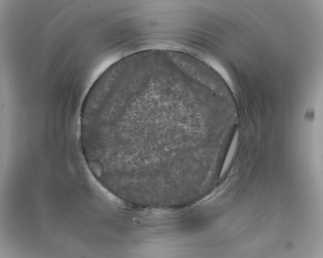 X0000090621095200708141408