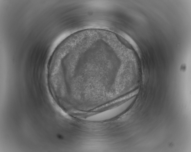 X0000090621096200708141408