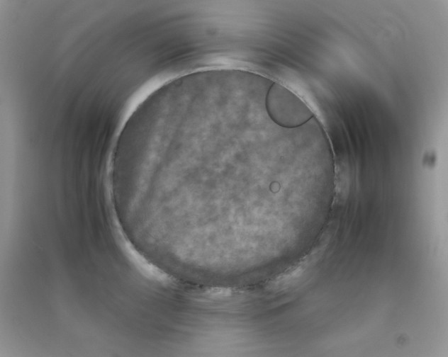 X0000090621098200708141408