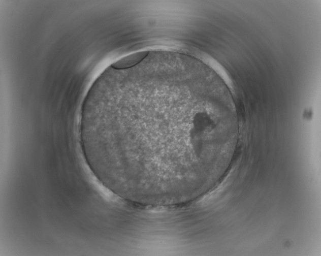 X0000090621099200708141408