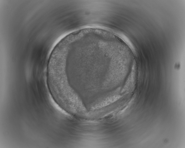 X0000090621100200708141408