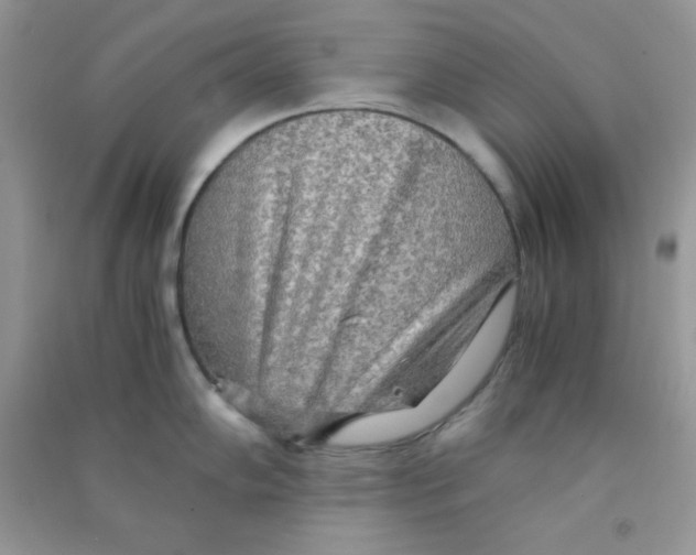 X0000090621102200708141407