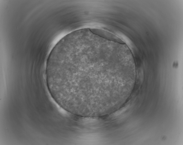 X0000090621103200708141407