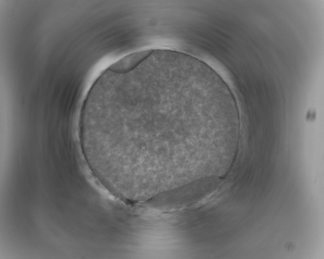 X0000090621104200708141407