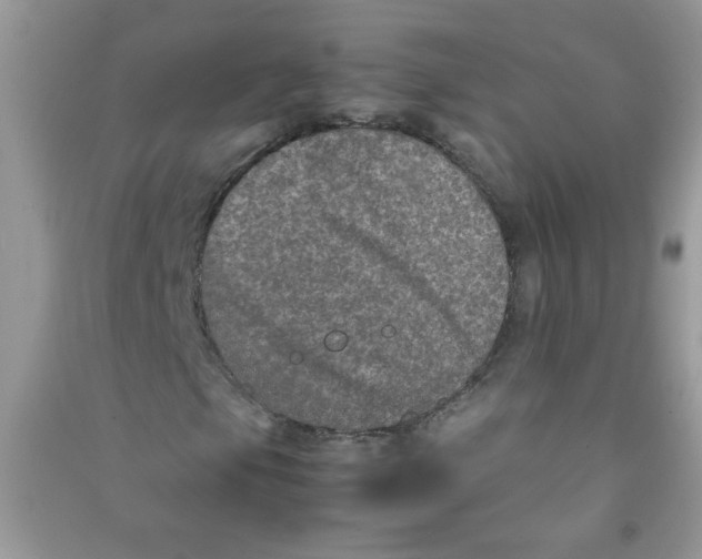 X0000090621105200708141407