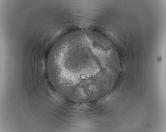 X0000090621106200708141407