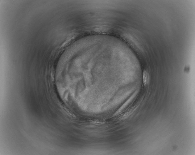 X0000090621107200708141407