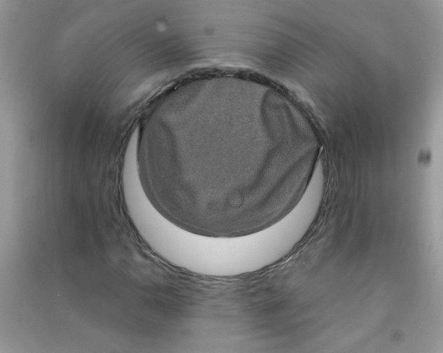 X0000090621110200708141407