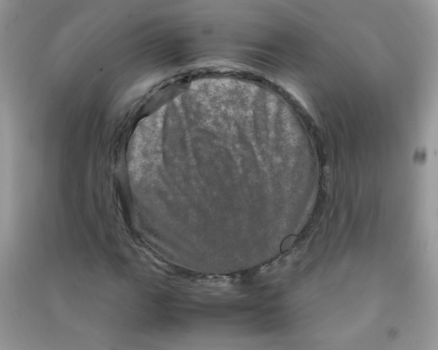 X0000090621111200708141407