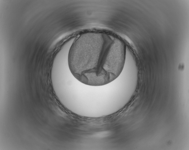 X0000090621112200708141407