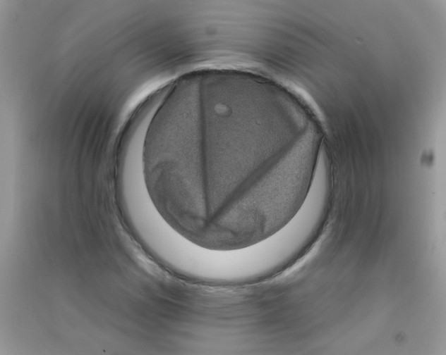 X0000090621114200708141407