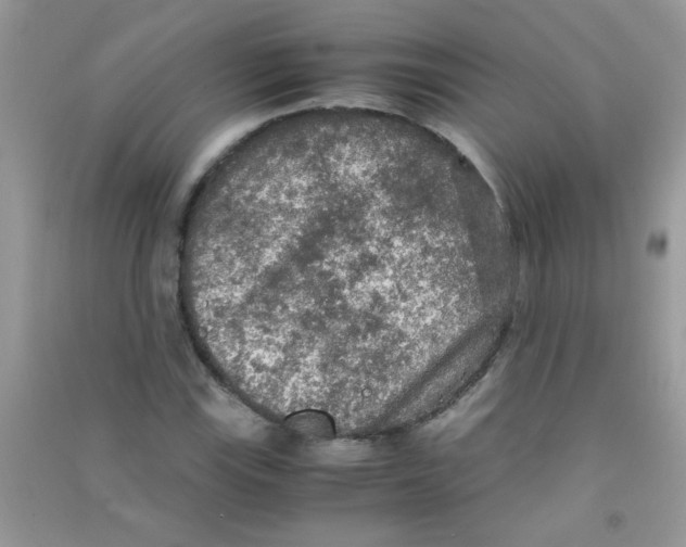 X0000090621115200708141407