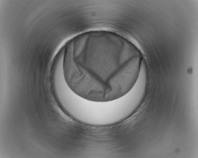 X0000090621116200708141407