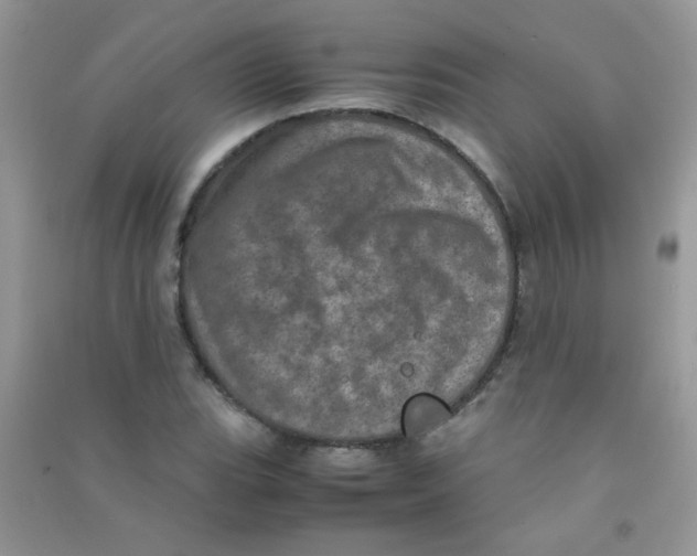 X0000090621119200708141407