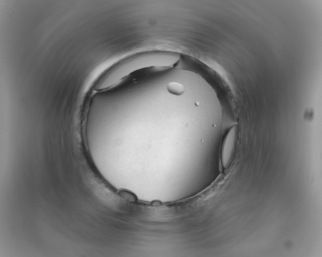 X0000090621120200708141407