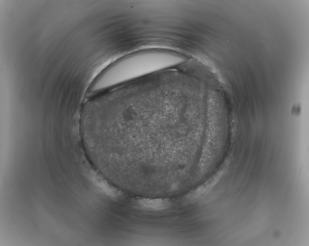 X0000090621121200708141407