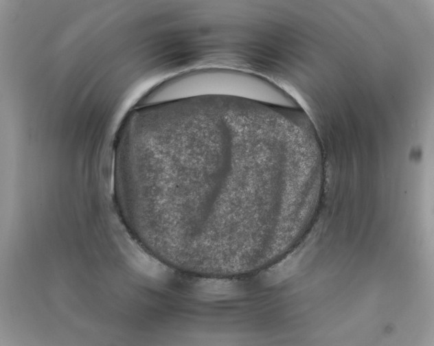 X0000090621123200708141407