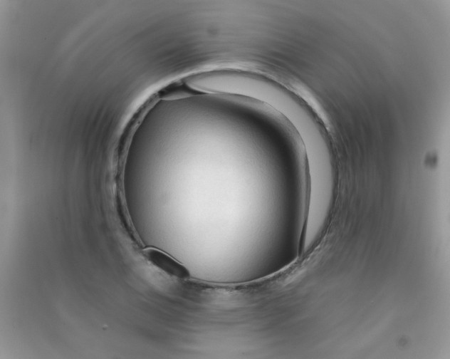 X0000090621124200708141407