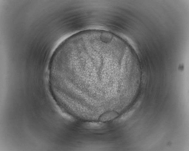 X0000090621125200708141407