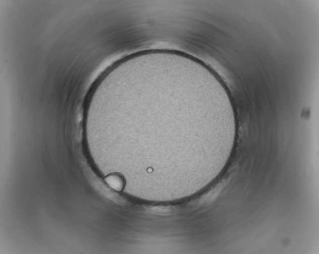 X0000090621126200708141407