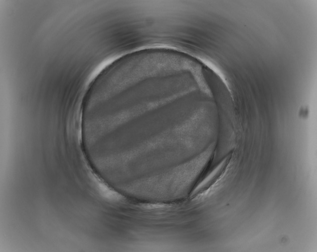 X0000090621127200708141407