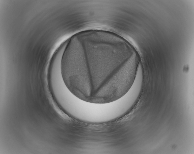 X0000090621128200708141407