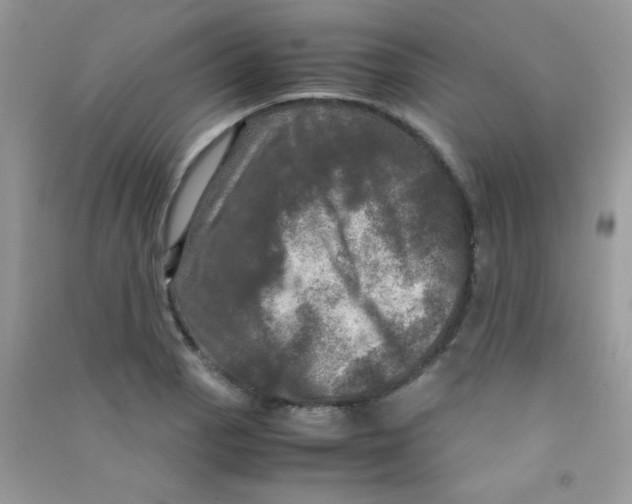 X0000090621129200708141407