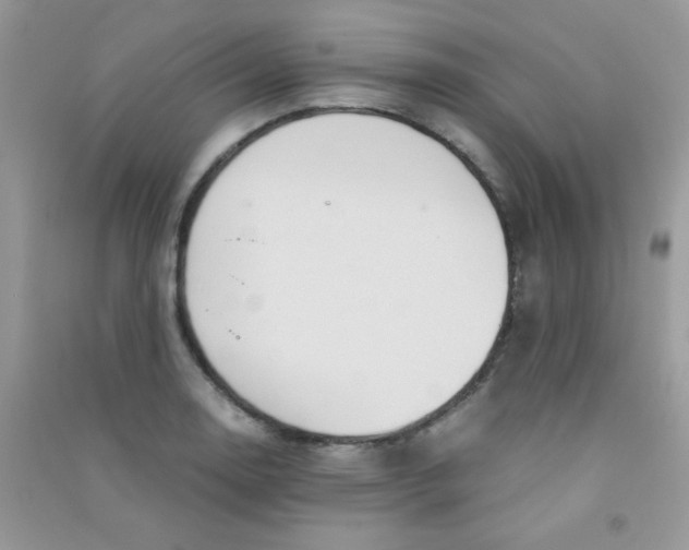 X0000090621130200708141407