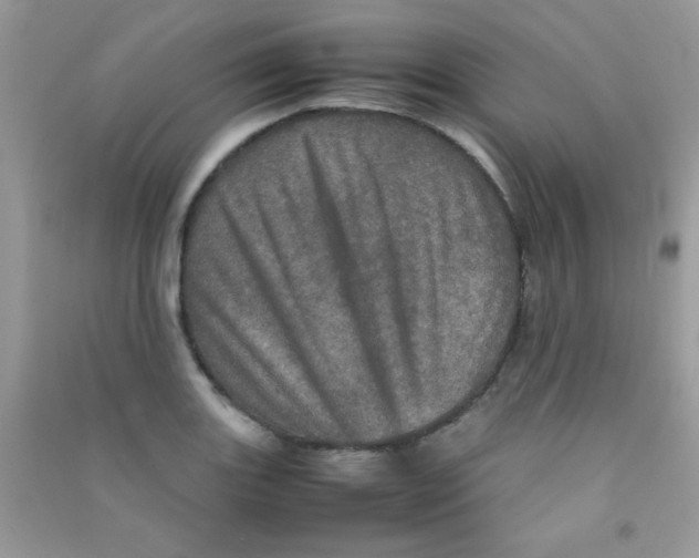 X0000090621131200708141407