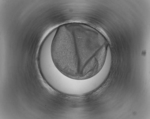 X0000090621132200708141407