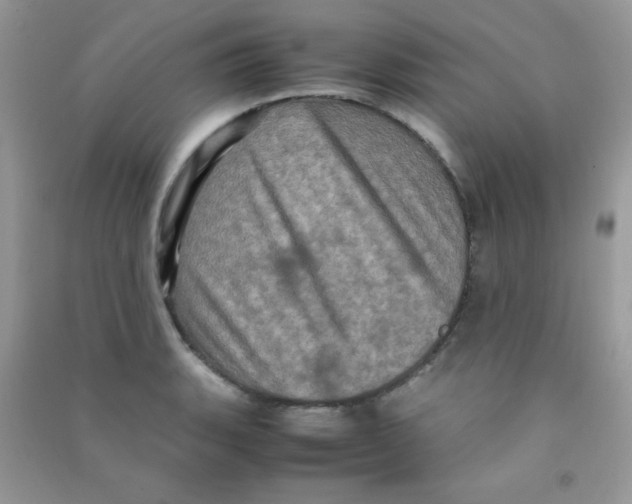 X0000090621135200708141407