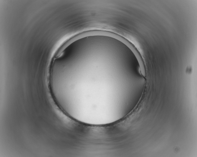 X0000090621136200708141407