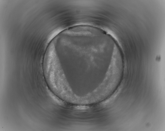 X0000090621137200708141407